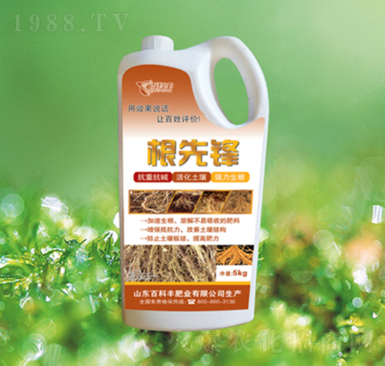 �����h-�ٿ��S