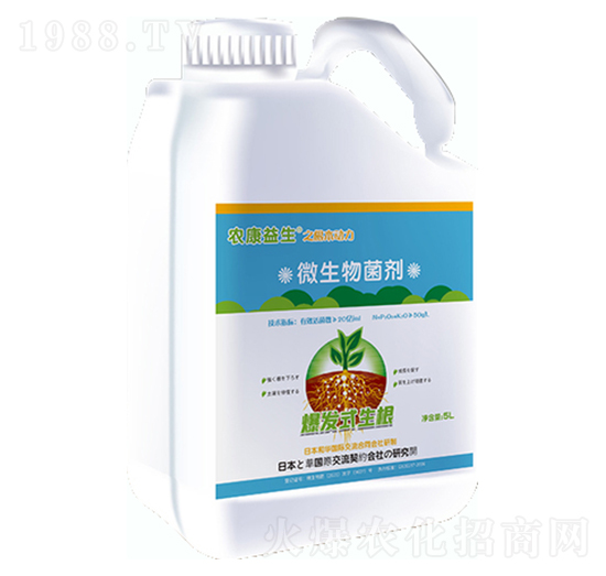 ΢�������-��������-���d����