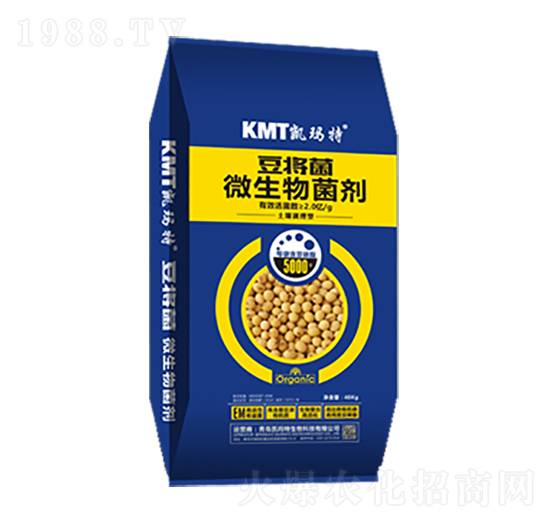 ������΢�������-�P����