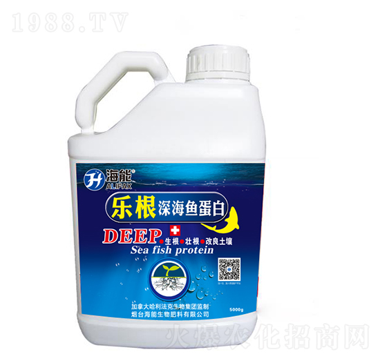 ������~����-����