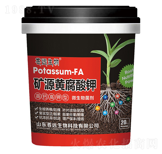 ���}����͵VԴ�S�����-�n�h����