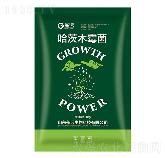 1kg����ľù��-�n�h(yu��n)����