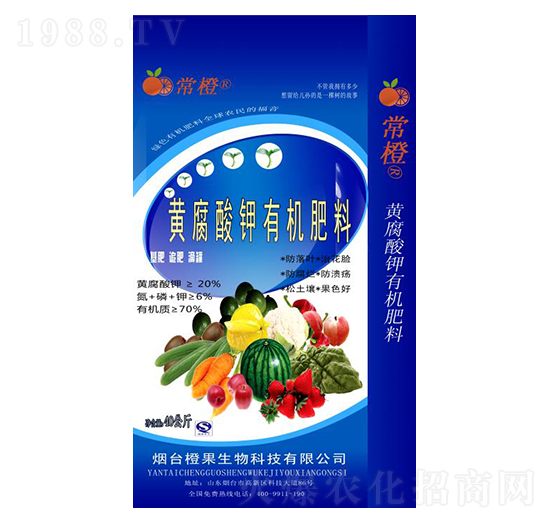 �S������ЙC(j��)����-����-�ȹ�����