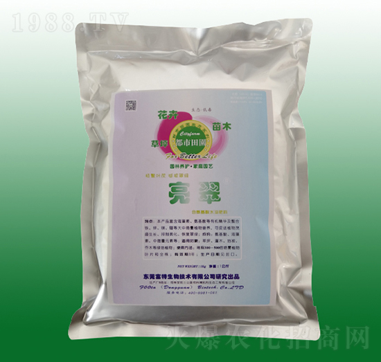 �����~���-��������