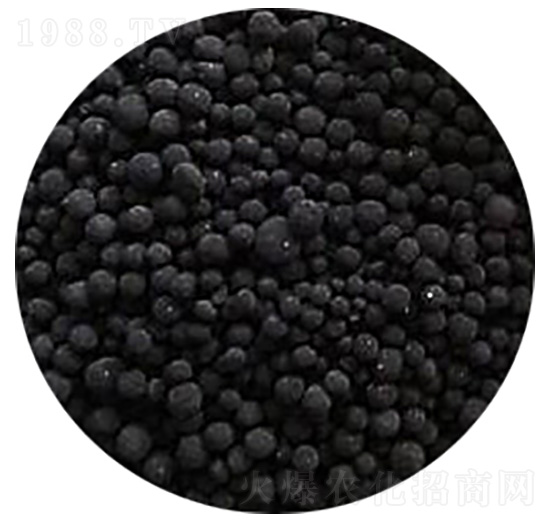 ��ֲ���w��-����ֲ��