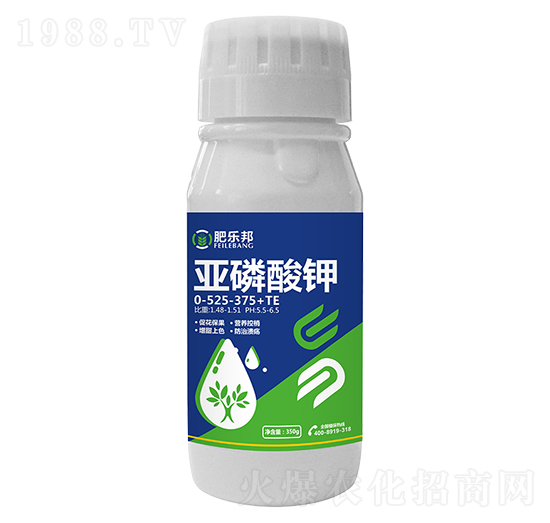 �������0-525-375+TE-�ʘ���-�׶���