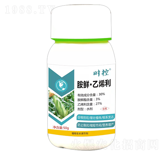 ���r����ϩ��-�r(sh��)��-��(��i)ɭ��