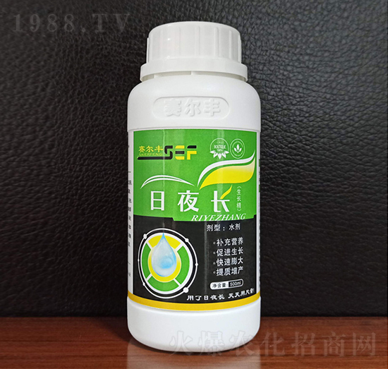 ��ҹ�L�����L����-ِ���S