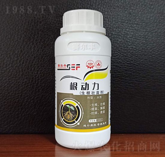 �������焩-����(d��ng)��-ِ���S