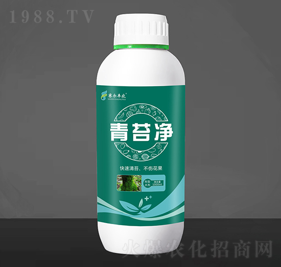 ����̦����-��̦��-ِ���S�r(n��ng)