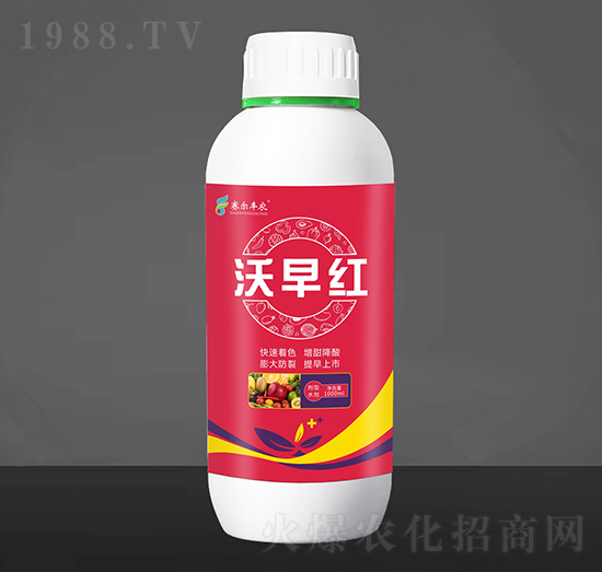 ����t�~���-ِ���S�r