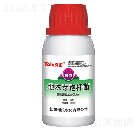 ����ѿ�ߗU����ƿ��-�߳�-�x���r��