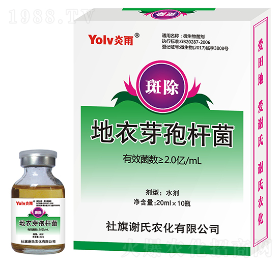 ����ѿ�ߗU��-�߳�-�x���r(n��ng)��