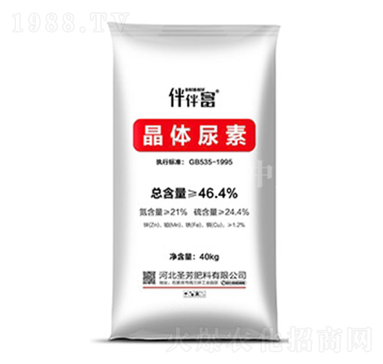 ���w����-��鸻-���r����