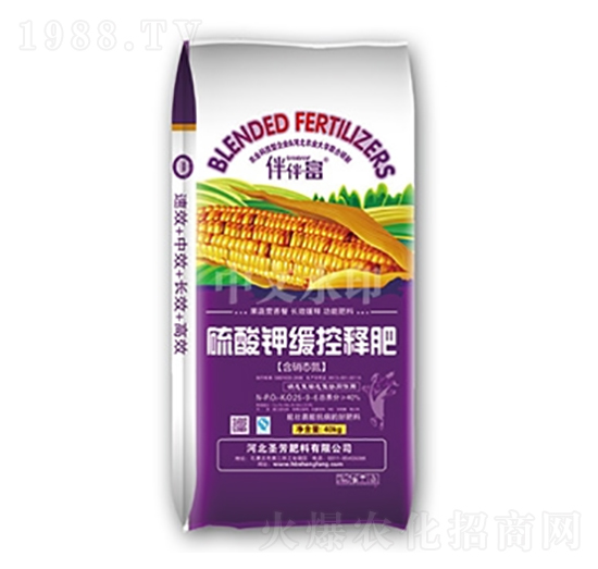 ����⛾�ጿط�-������-���r����