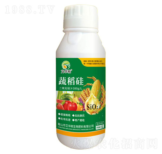 �ߵ���-���A��