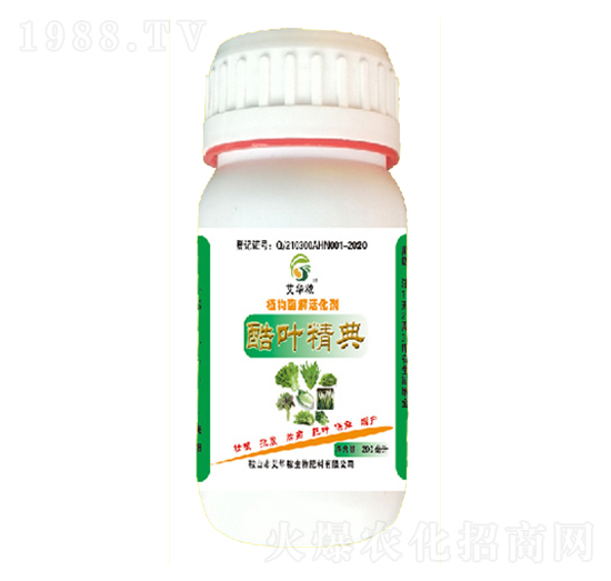 ֲ��ø����-���~����-���A��