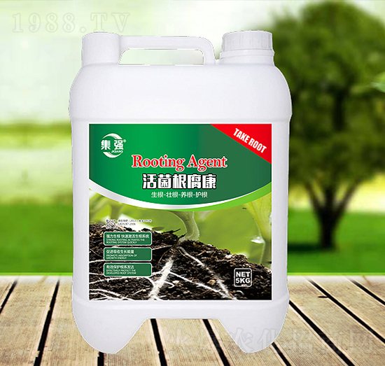 ���������-�G�SԴ