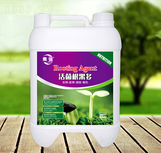 ���������-�G�SԴ