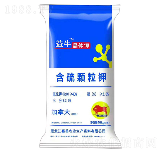 40kg�����w���-��ţ-����