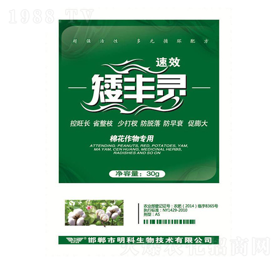 �޻�����ð��S�`-��������