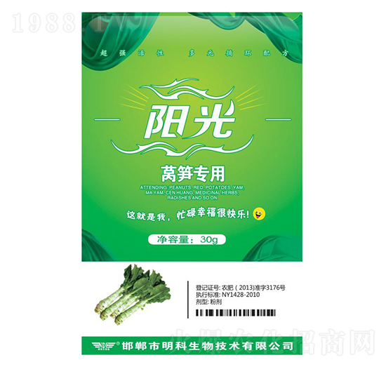 �n�S����-ꖹ�-��������