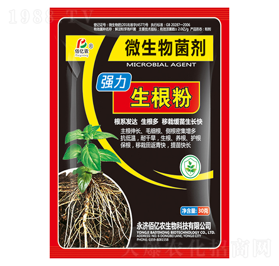 ����������-�ۃ|�r����