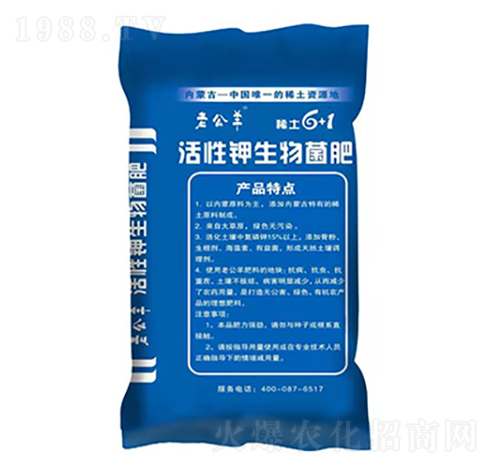 ������������-�Ϲ���-����