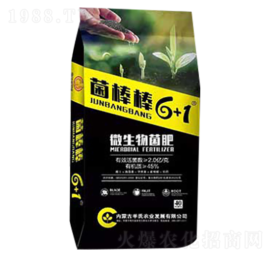 ΢�������-������6+1-����