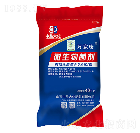 5�|΢�������-�f�ҿ�-���}��