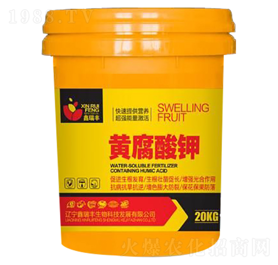 �S�����-�����S