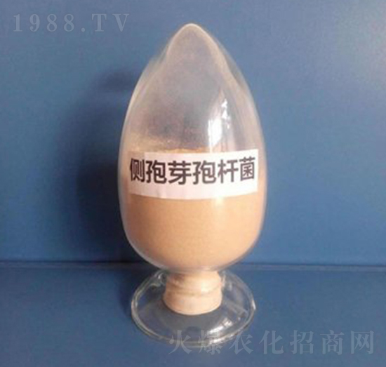 ����ѿ�ߗU�����ۄ���-��������