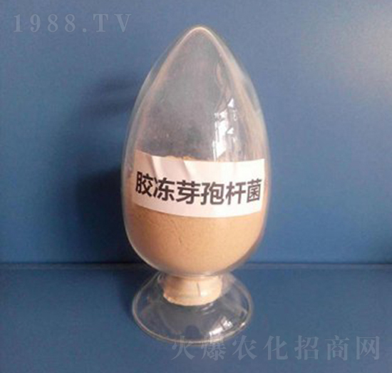 �z��ѿ�ߗU����Һ�w��-��������