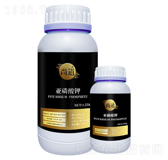 �������-�е�-���S����