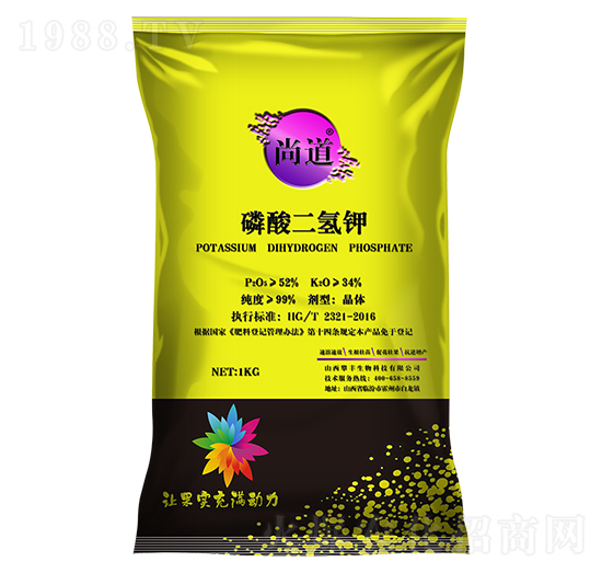 ��������-�е�-���S����