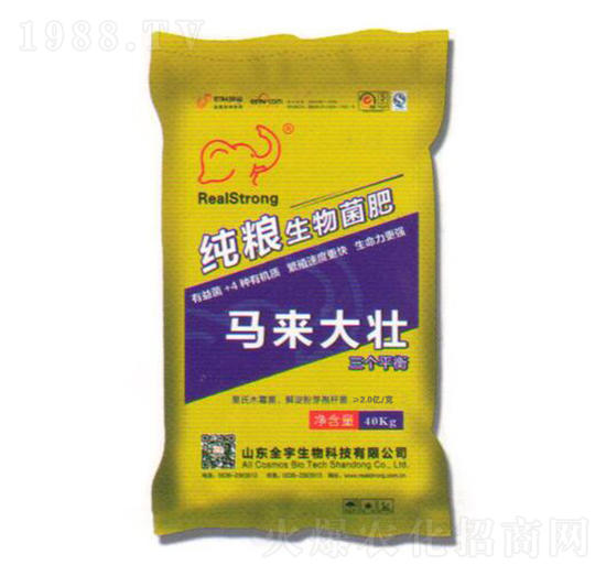 2�|�����Z�������-�R�����-ȫ������