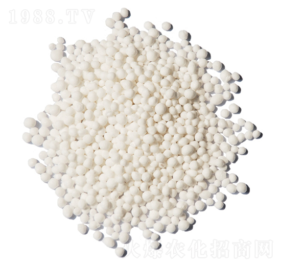 �A�w�����-ïʩ