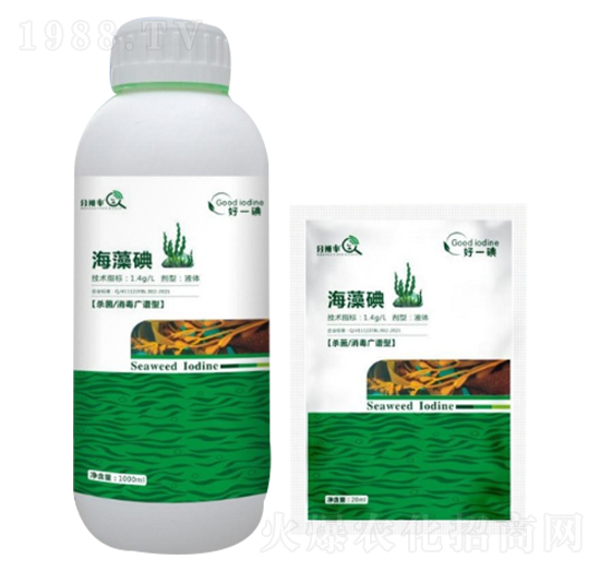 �����-�ֱ���