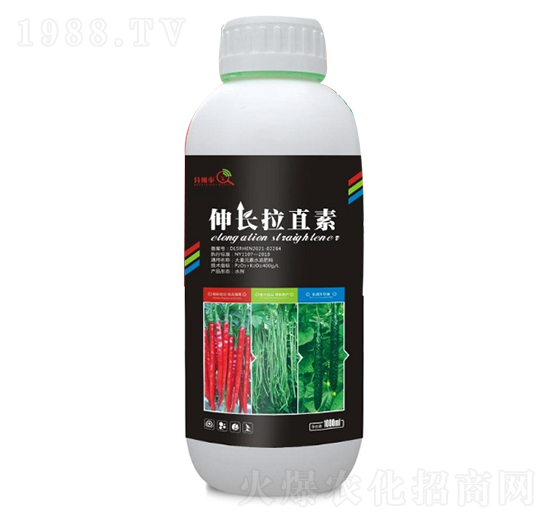 ���L��ֱ��-�ֱ���