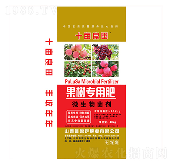 ����(sh��)��(zhu��n)��΢�������-ʮ������-�����_