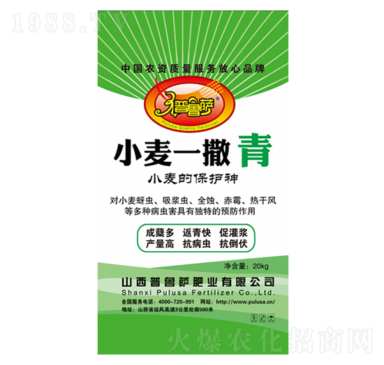 С��һ����-�����_