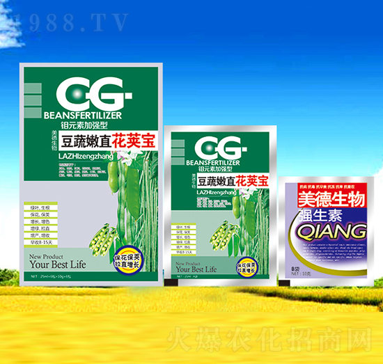 ������ֱ���v��-��������