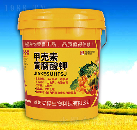 �ך����S�����-��������