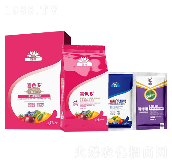 1+4+4���b�M��-ϲɫ��-�޸�����