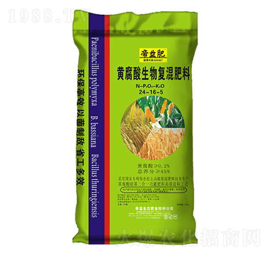 �S���������(f��)�����24-16-5-�����