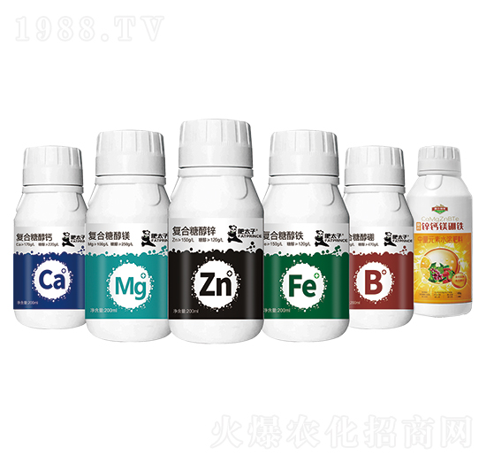 ��һԪ�ط���-�Ԡ��G��