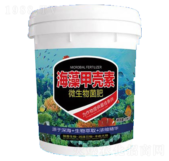 ����׿���΢�������-��������