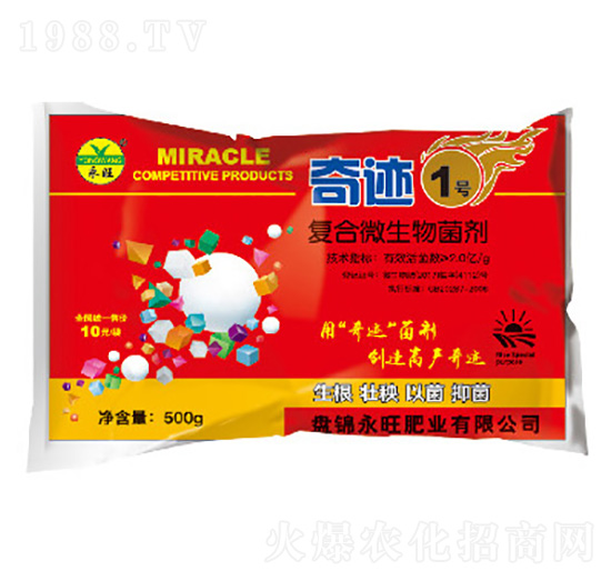 ��(f��)��΢�������-���E1̖(h��o)-�����ʘI(y��)