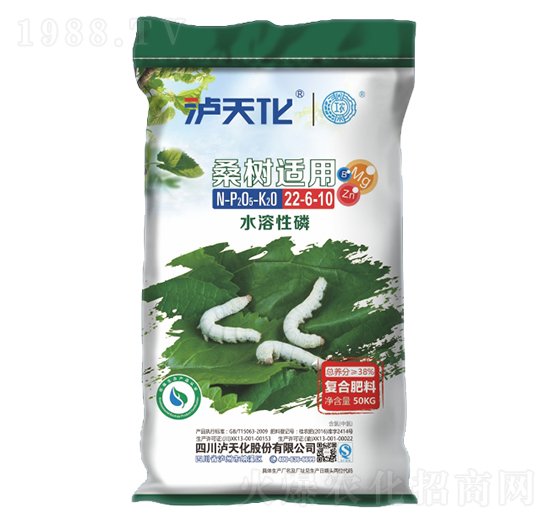 ɣ���m�ÏͺϷ���22-6-10-�o�컯