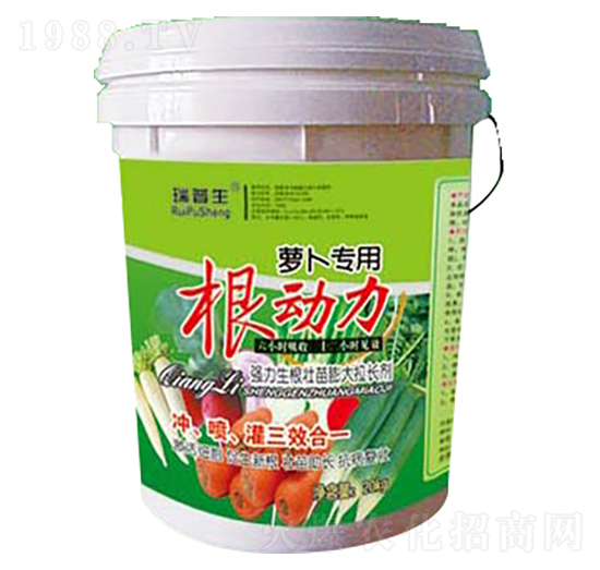 �}�����ø�����-��������